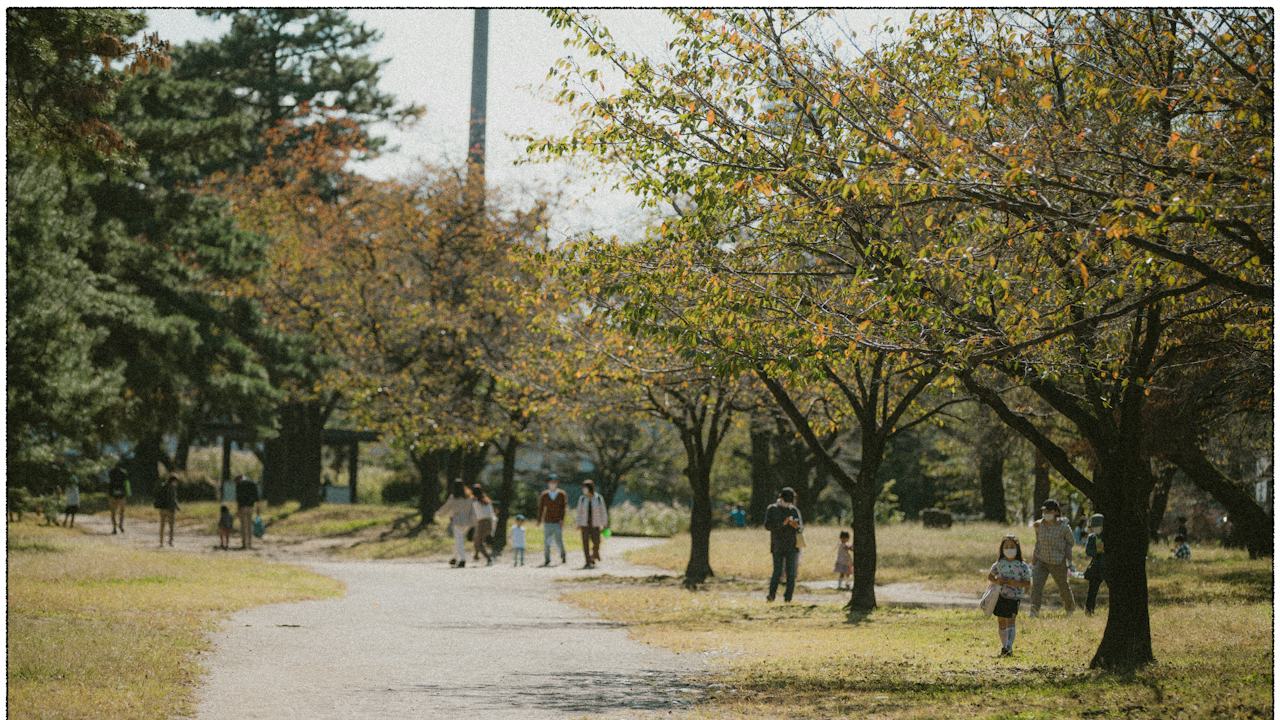 People walking along a park path in autumn