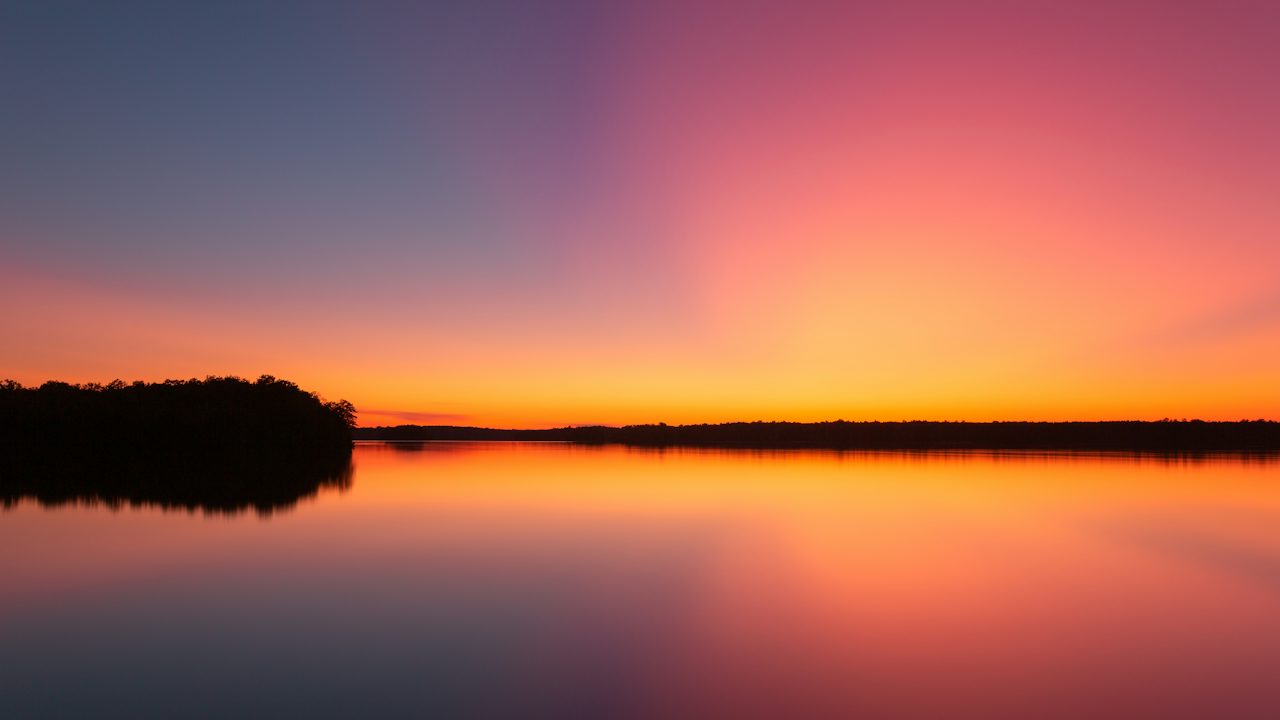 Trees reflected in a calm lake at golden hour