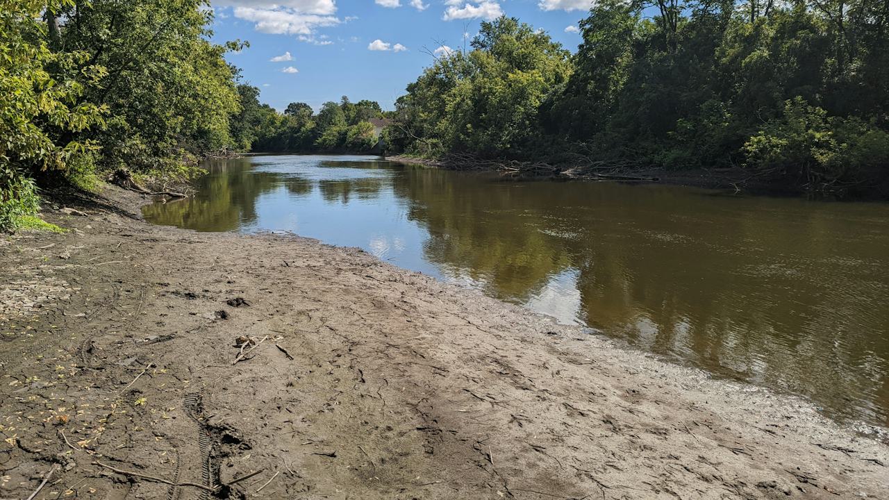 A tree-lined river with a sandy bank